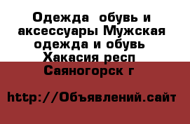 Одежда, обувь и аксессуары Мужская одежда и обувь. Хакасия респ.,Саяногорск г.